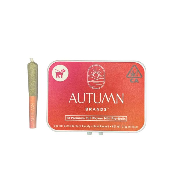 Autumn Brand s- Preroll - Frozen Lemon Gelato - 10pk (S) 3.6g