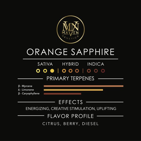 Maven - Orange Sapphire - Preroll - (S) 1.0g - Image 10